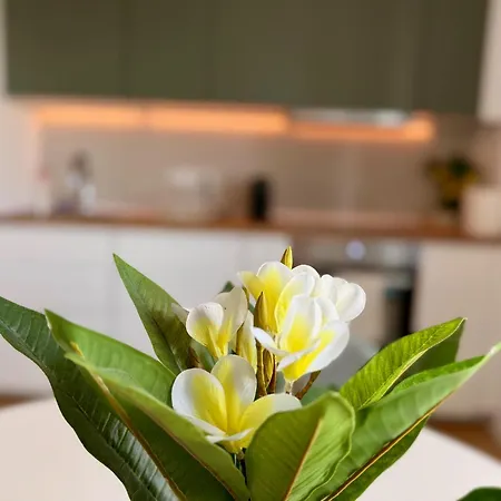 One Vivalia Iulius Town