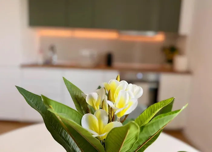 One Vivalia Iulius Town